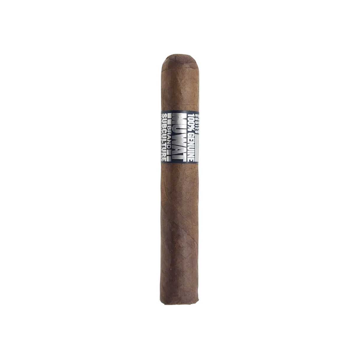 6x60 Box of 10
