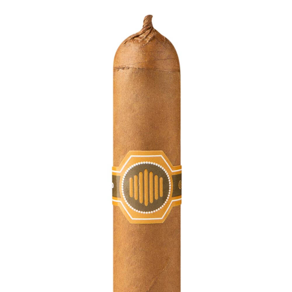 Warped La Colmena Amado No. 44 / 5.5 x 44 Box of 10