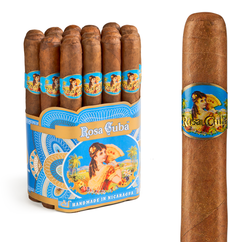 Rosa Cuba Angels / 4.5 x 38 Bundle of 20