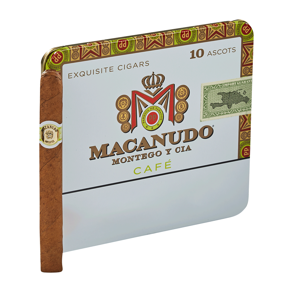 Macanudo Ascots | Ascot | Pack of 10