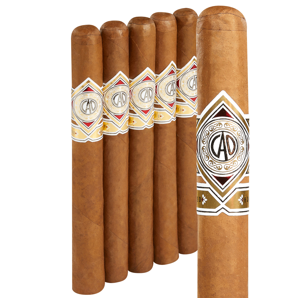 CAO Gold | Churchill | Pack of 5