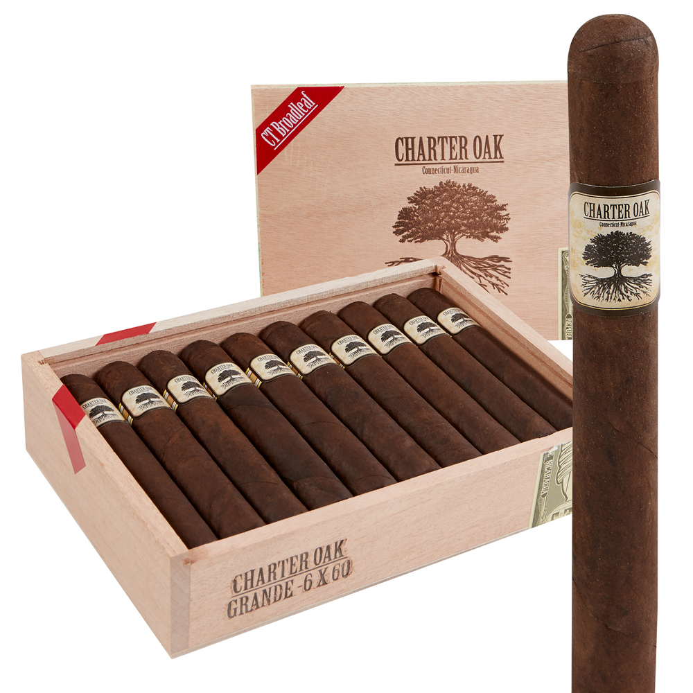 Foundation Charter Oak | Grande MAD | Box of 20