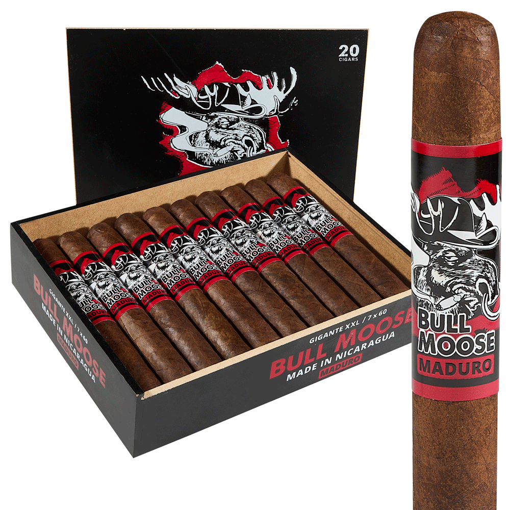 Chillin Moose Bull Moose Maduro | Gigante XXL | Box of 20