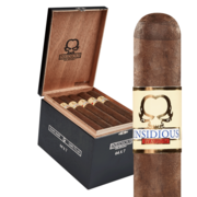 Asylum Insidious Maduro 764 | Gordo | Box of 25