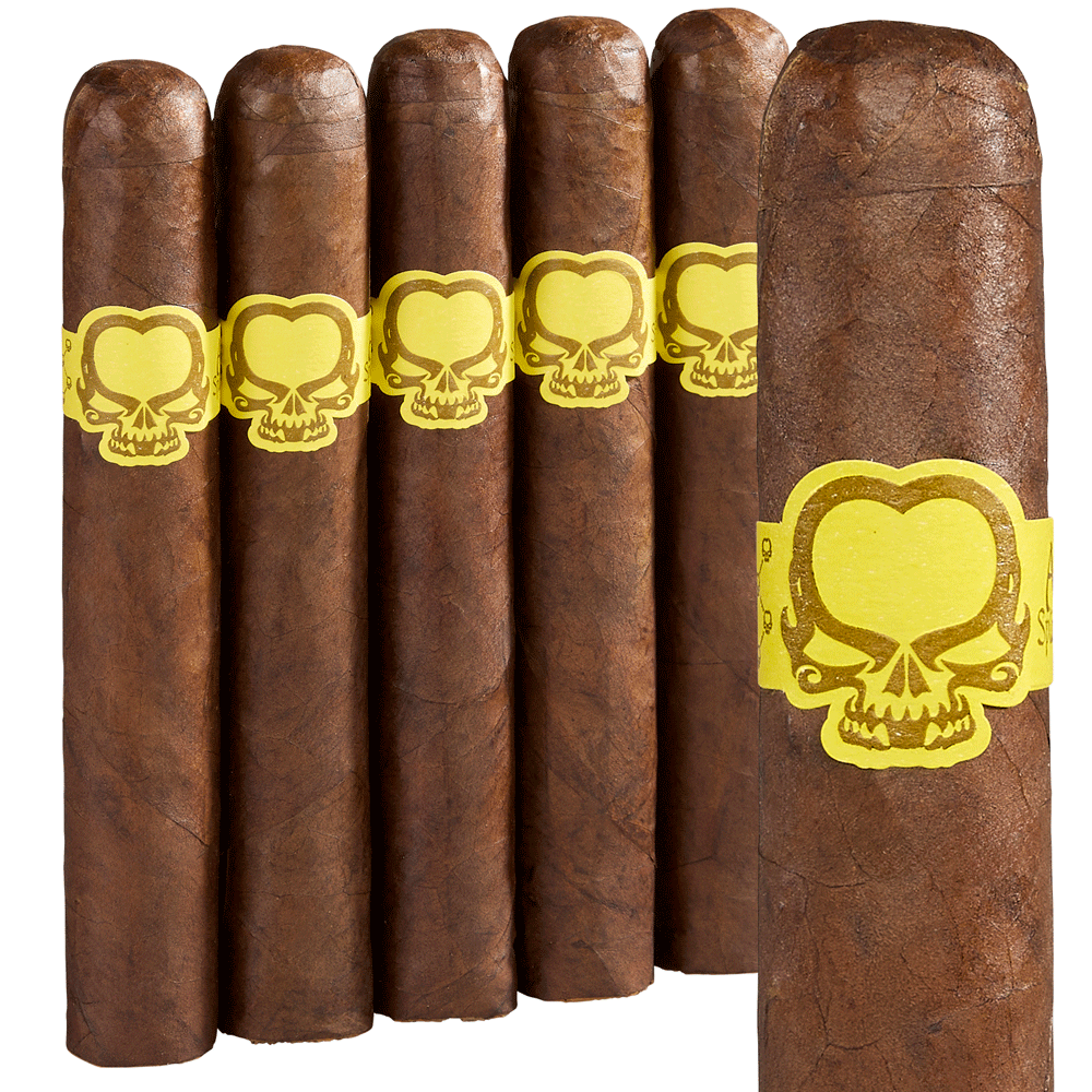 Asylum Split Personality | Gordo | Pack of 5