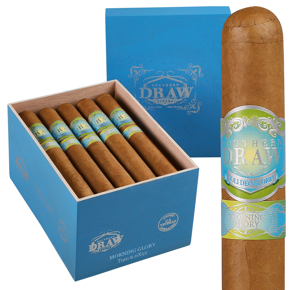 Southern Draw Morning Glory | Toro | Box of 20
