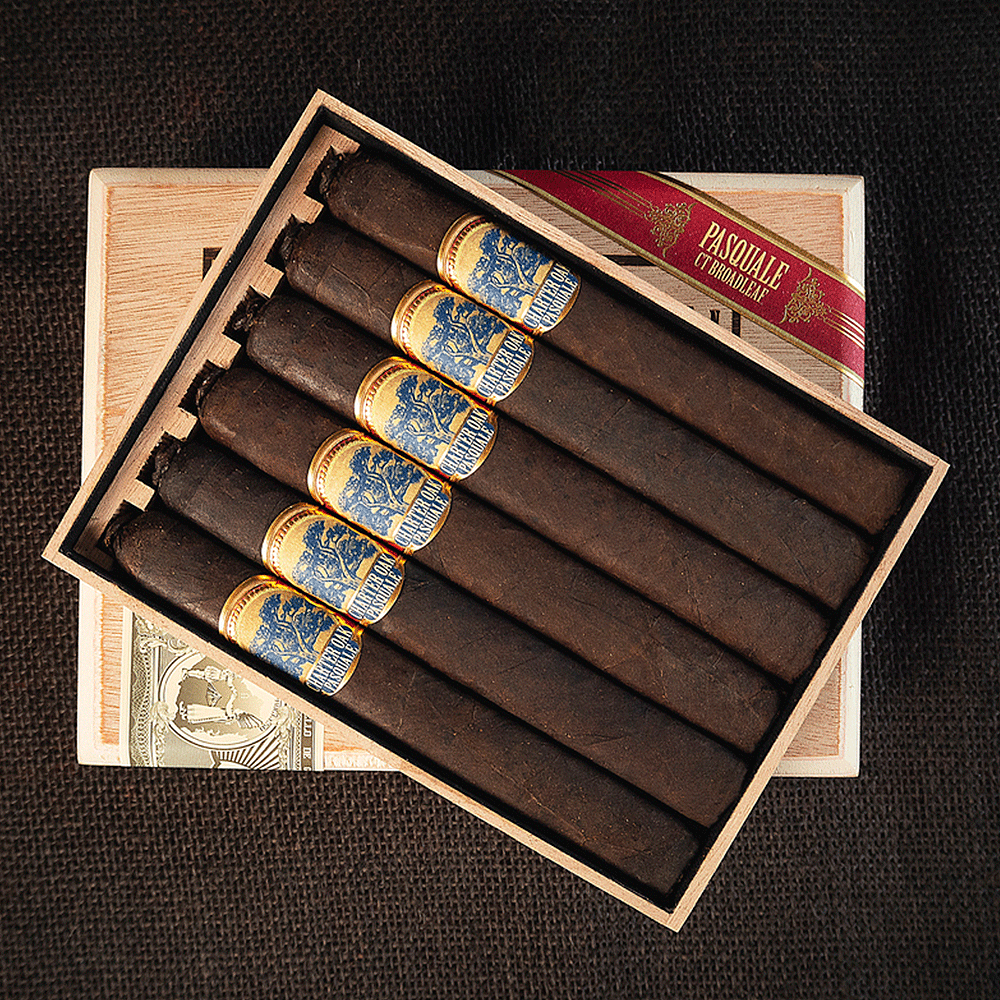Foundation Charter Oak Pasquale | Corona | Box of 12