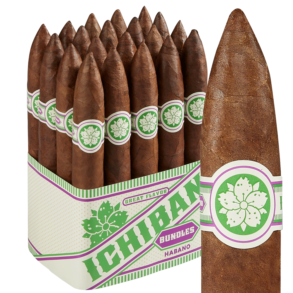 Room101 Ichiban Habano | Torpedo | Pack of 20