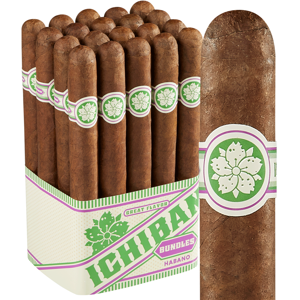 Room101 Ichiban Habano | Churchill | Pack of 20