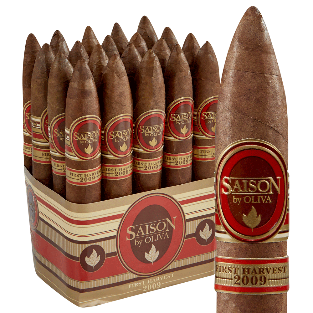 Oliva Saison | Torpedo | Pack of 20