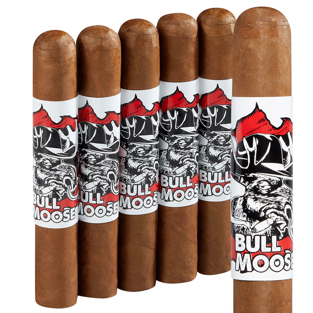Chillin' Moose Bull Moose | Gigante | Pack of 5