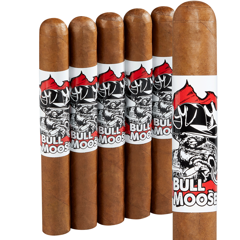 Chillin' Moose Bull Moose | Gigante XXL | Pack of 5