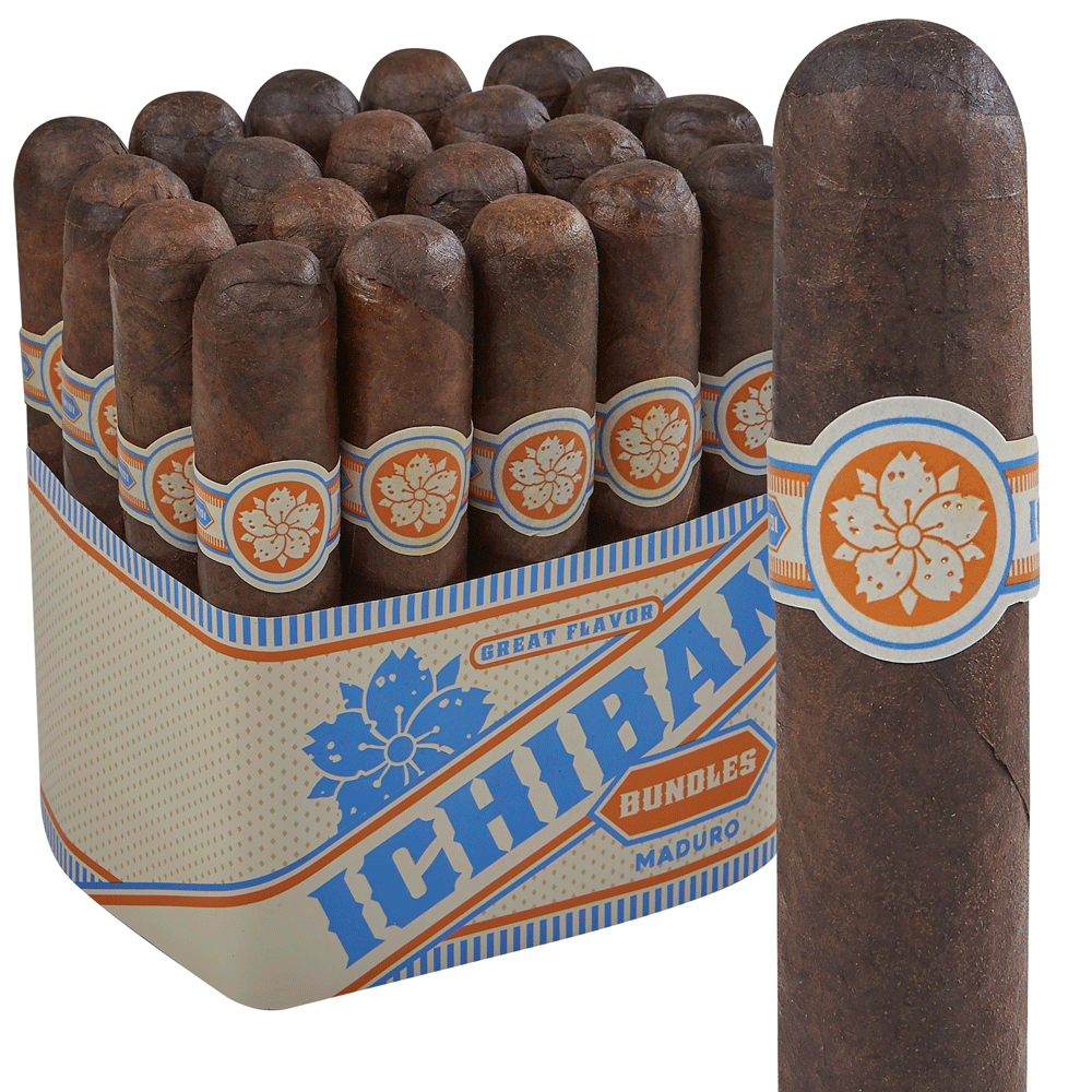 Room101 Ichiban Maduro | Robusto | Pack of 20