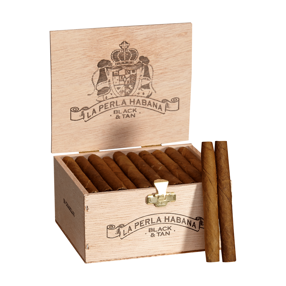 La Perla Habana Black & Tan | Cigarillos | Box of 50