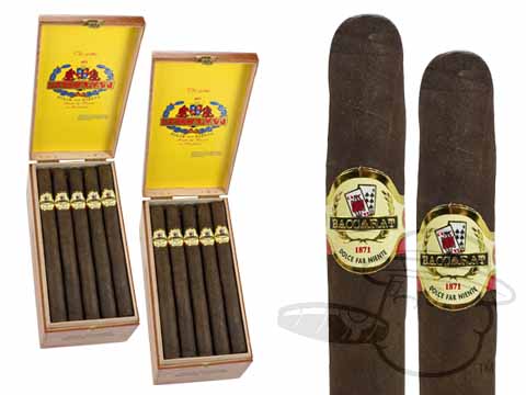 Baccarat King Maduro - 50 Cigars