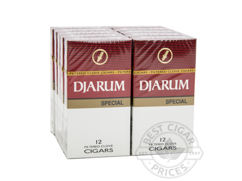 Djarum Special Filtered 2x Deal - Carton - 120 Total Cigars