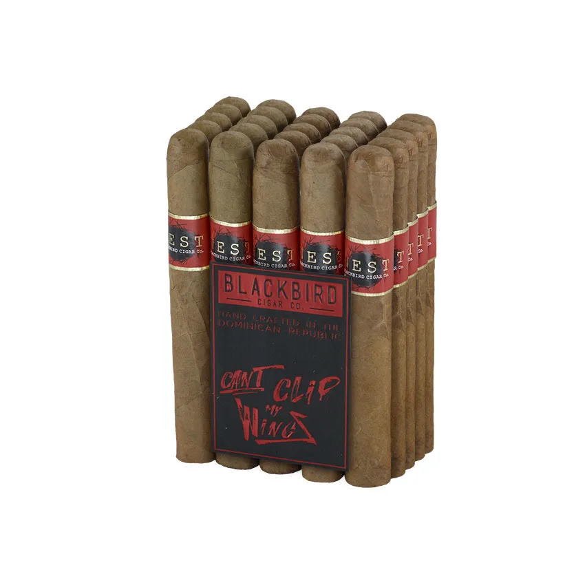 Blackbird Nest Connecticut Toro Natural | Toro | Bundle of 25