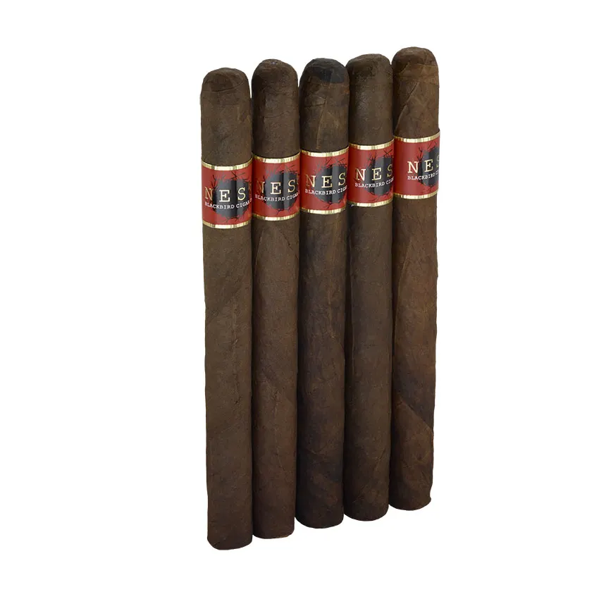 Blackbird Nest Maduro Presidente | Presidente | Pack of 5