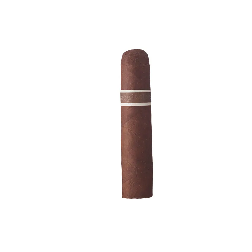 CroMagnon Aquitaine Mandible Natural | Rothschild | Single of 1