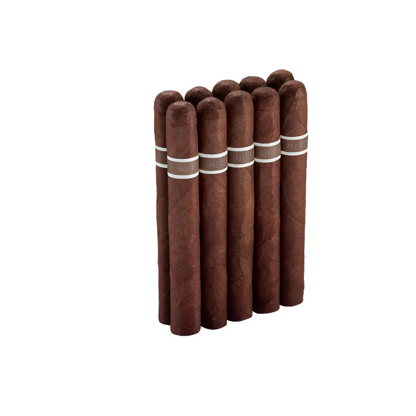 CroMagnon Aquitaine Anthropology Natural | Corona | Pack of 10