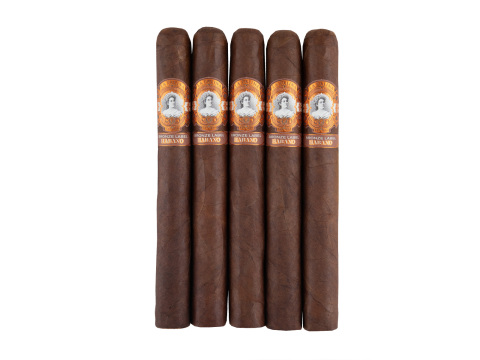 La Palina Bronze Label Toro - 5 Cigars