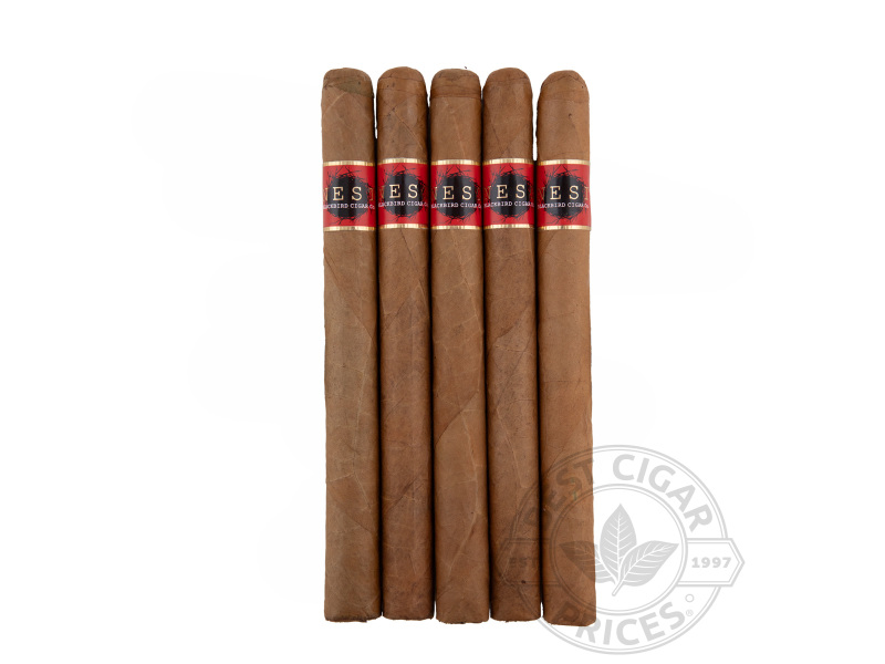 Blackbird Nest Connecticut Presidente - 5 Cigars