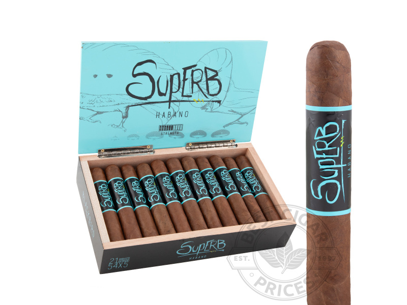 Blackbird Superb Robusto Gordo - 21 Cigars