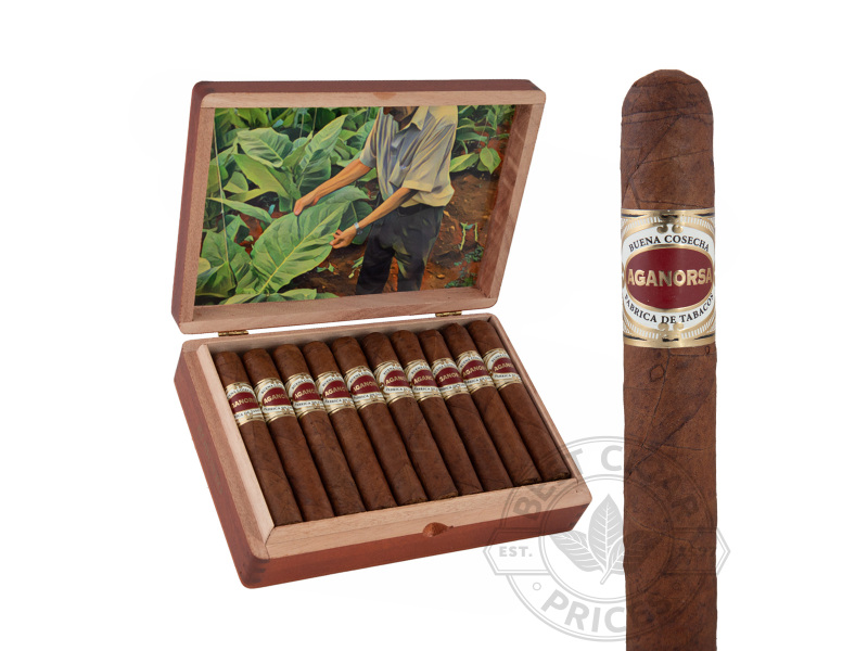 Aganorsa Leaf Buena Cosecha Corojo Robusto - 20 Cigars