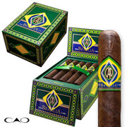 Cao Brazilia | Gordo | Box of 5