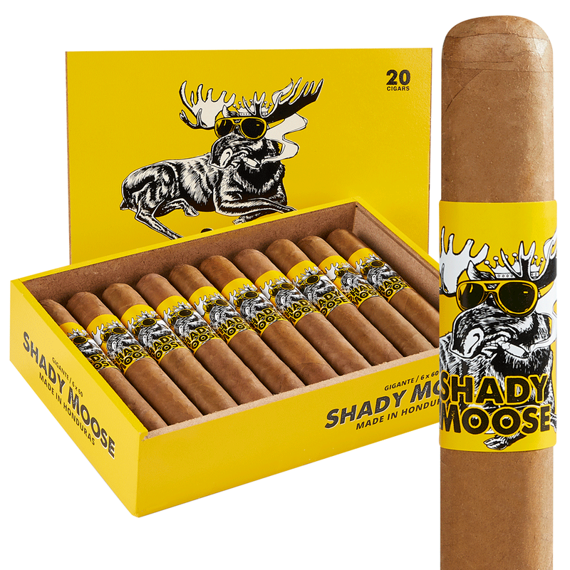 Chillin' Moose Shady Moose Box of 20