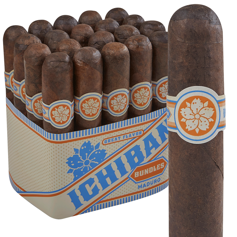 Room 101 Ichiban Maduro Pack of 20