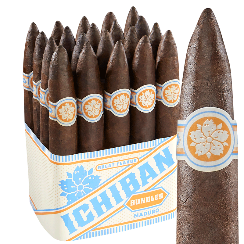 Room 101 Ichiban Maduro Pack of 20