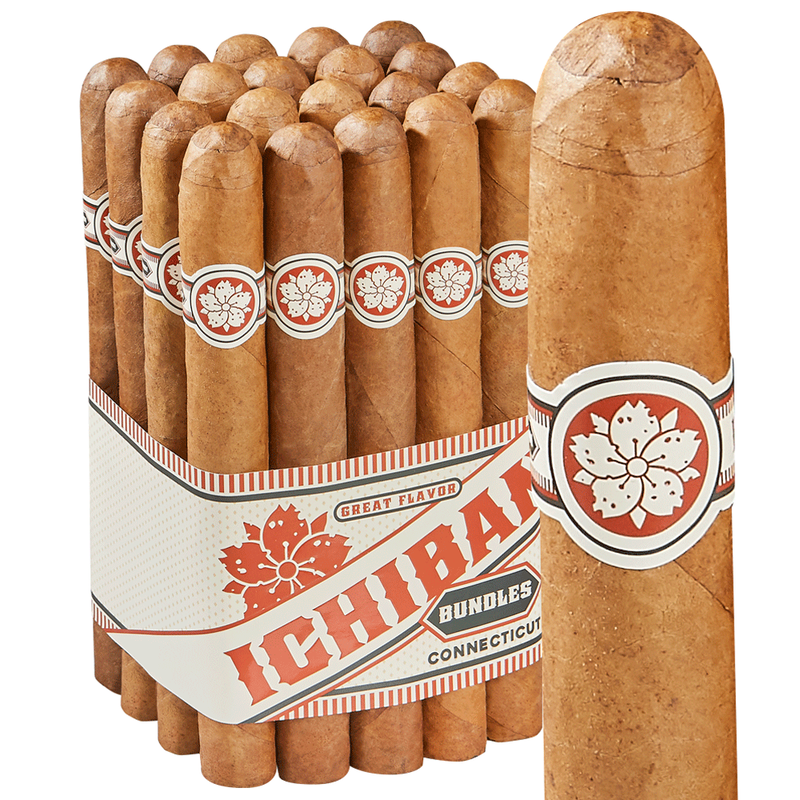 Room 101 Ichiban Connecticut Pack of 20