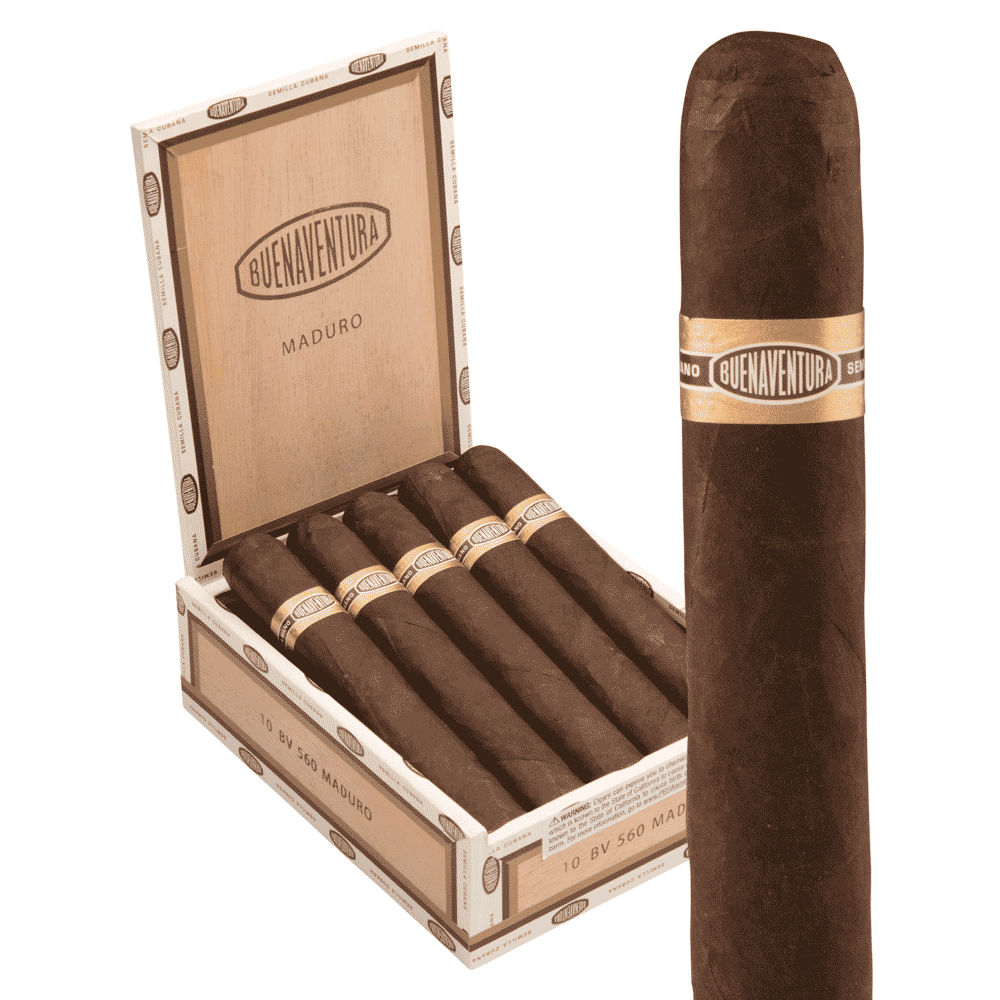 Curivari Buenaventura Maduro BV 560 / 5.5 x 56 Box of 10