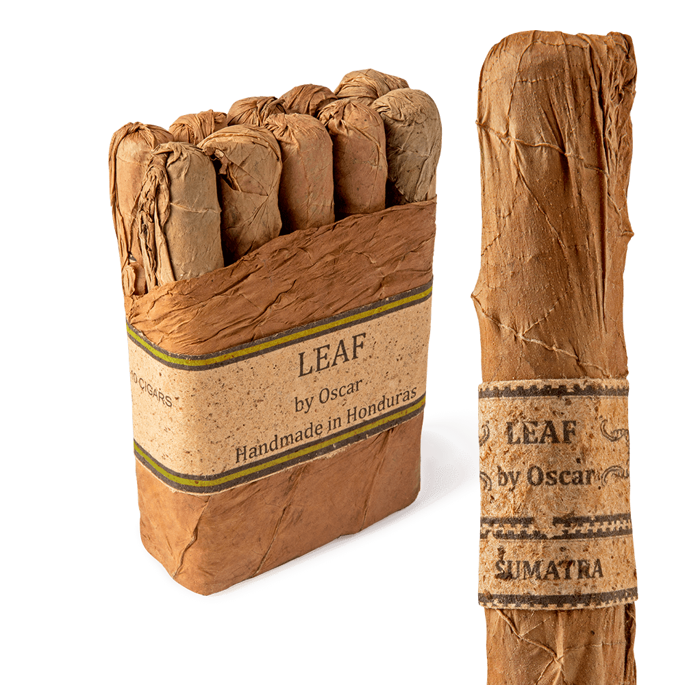 Leaf by Oscar Sumatra Gordo / 6 x 60 Bundle of 10