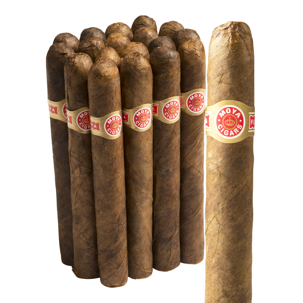 Moya Cigars Casadores Maduro / 5.5 x 48 Bundle of 18
