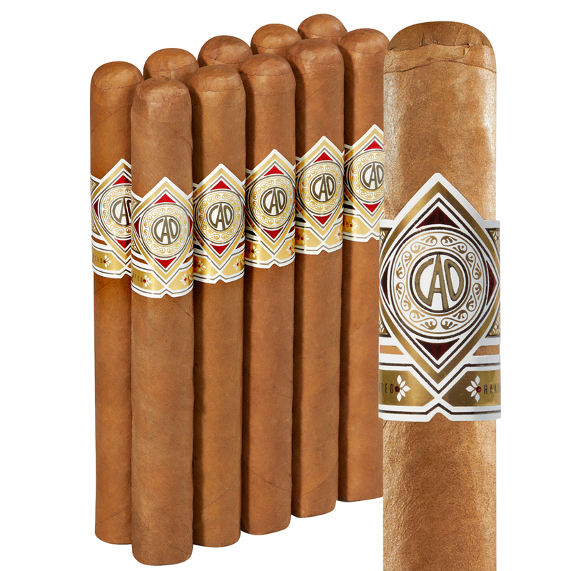 CAO Gold Churchill Pack of 10