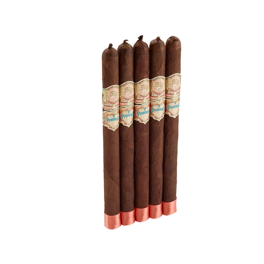 My Father La Promesa Lancero Oscuro | Lancero | Pack of 5