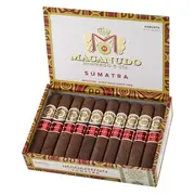 Macanudo Sumatra Robusto Maduro Robusto | Box of 20