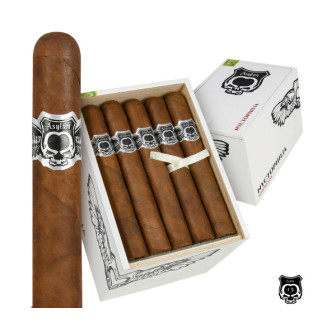 Asylum Nyctophilia Super Gordo 5 Pack