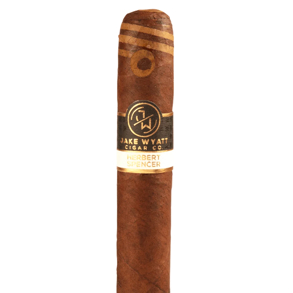 Jake Wyatt Herbert Spencer Toro / 6 x 54 Pack of 4