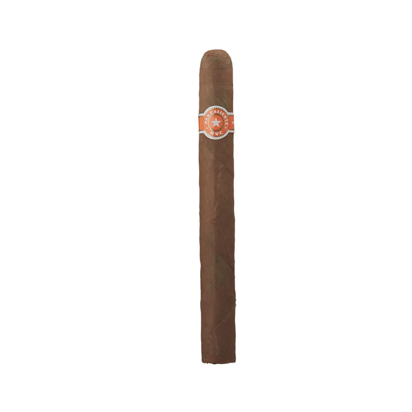 Pan Caliente Ct. Corona Extra Natural | Corona Extra | Single of 1