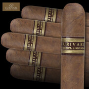 Curivari Reserva Limitada Cafe 60 | Gordo | Box of 10