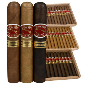 Rojas Havana Nights Maduro Robusto 10 Pack