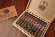 Foundation Aksum Maduro Robusto | Box of 10