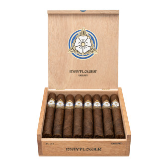 Mayflower Dream Toro 15 Pack