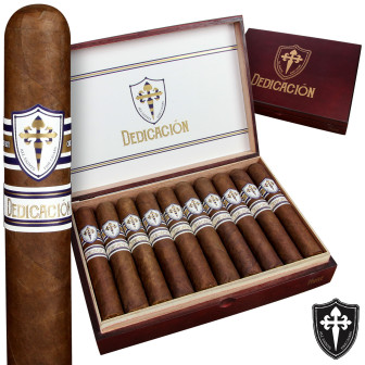 All Saints Dedicacion Box-Pressed Commandant 12 Pack