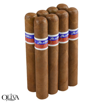 Flor de Oliva Gigante 1066 8 CIGARS