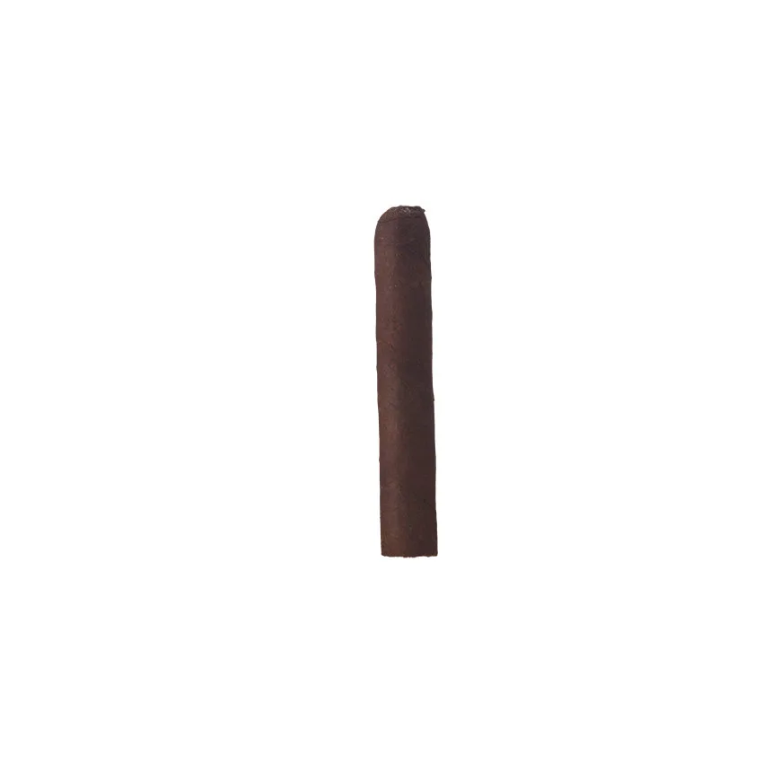 Famous Exclusives Buenos Maduritos Maduro | Corona | Single of 1