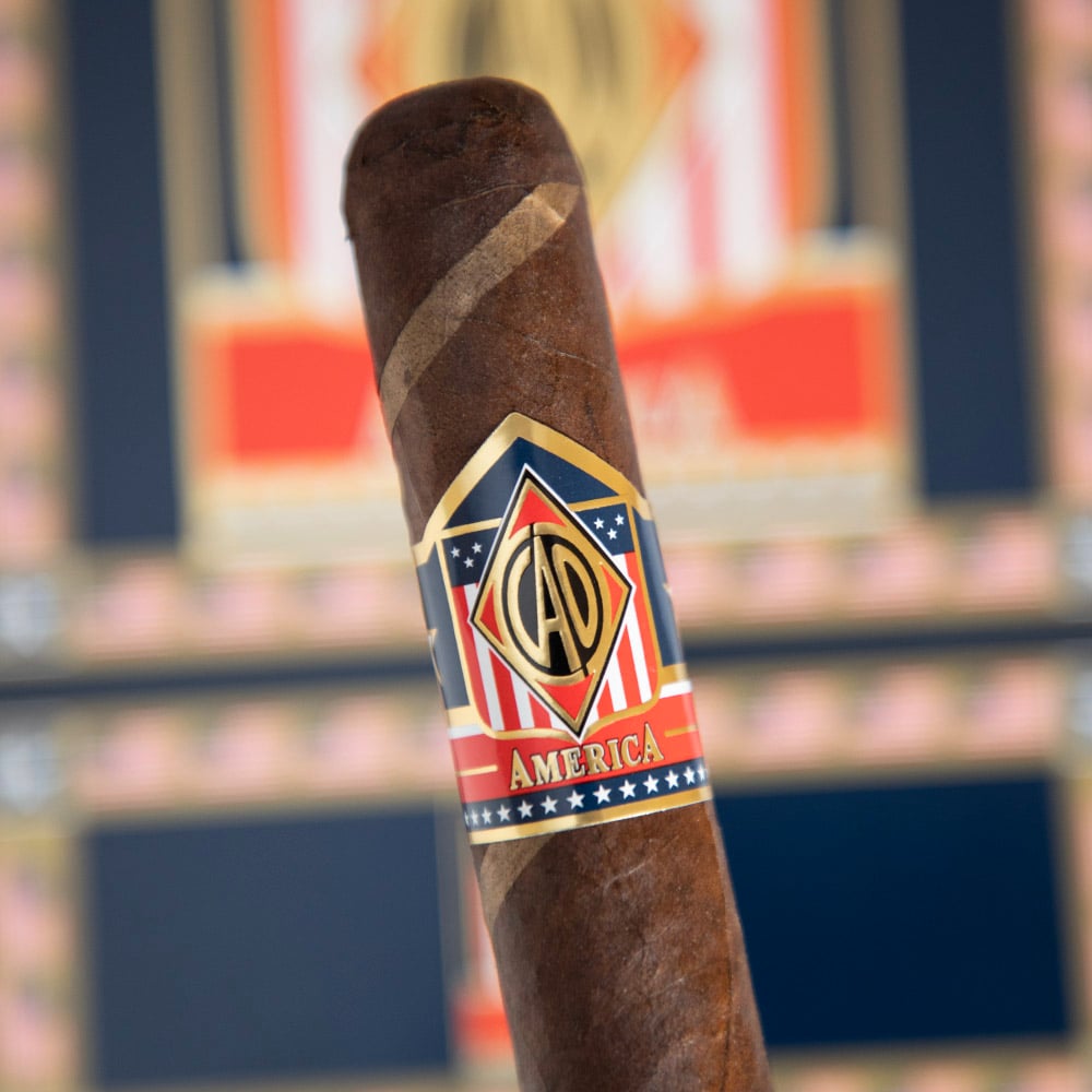 CAO America - Potomac (Pack of 20)